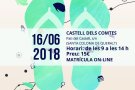 Curs d'introducció a la pedra en sec a Santa Coloma de Queralt