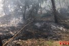 Diversos incendis a Senan i Llorac