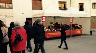Visitans gaudint de la fira