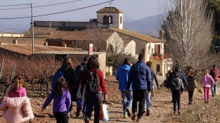 El Celler Mas Foraster descobreix el cicle de la vinya a les famílies amb infants