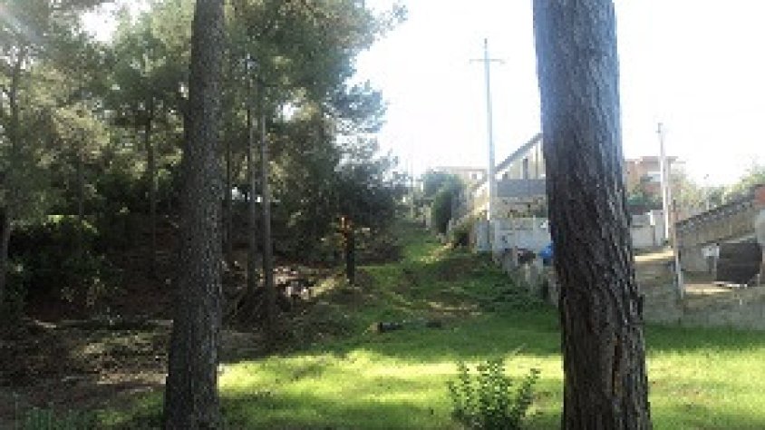 Agricultura destina mig milió d'euros per millorar la seguretat de les urbanitzacions i nuclis de població enfront dels incendis forestals