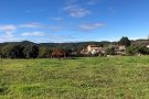 El Departament d'Agricultura abona més de 10,4M€ de l'ajut a les zones amb limitacions naturals o altres limitacions específiques i dels plans de reestructuració de la vinya