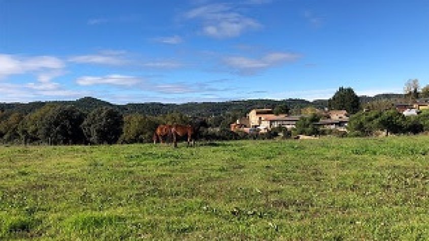 El Departament d'Agricultura abona més de 10,4M€ de l'ajut a les zones amb limitacions naturals o altres limitacions específiques i dels plans de reestructuració de la vinya
