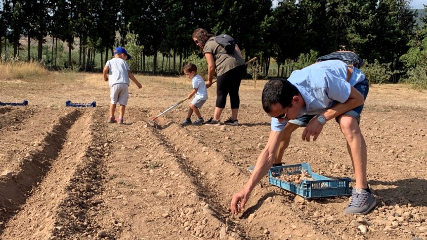 Imatge d'arxiu d'una plantada anterior