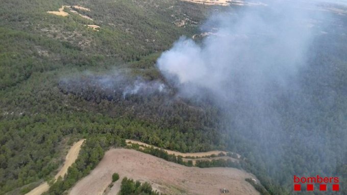 Cremen 3'5 ha de sotabosc a Conesa