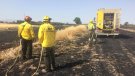 Es manté el nombre d'incendis vinculats a l'activitat agrària tot i les condicions complicades de la temporada