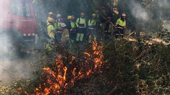 Crema controlada dels GRAF a Plans de Sant Joan