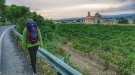 Ja estan obertes les inscripcions per a la caminada popular pel  paratge natural de Poblet i GR®175 amb tast d’oli de tòfona 
