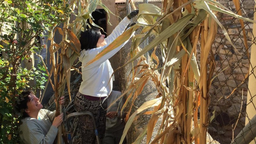 El Pessebre Vivent de l'Espluga obre una nova inscripció per figurants i atenció al visitant