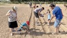 «Viu Montblanc en família» torna a dedicar una jornada a plantar safrà