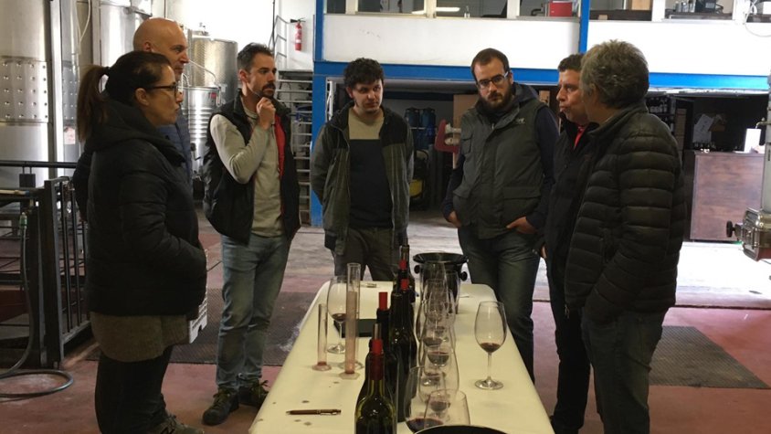 La DO Montsant elabora un vi solidari per donar suport al Celler Rendé Masdéu