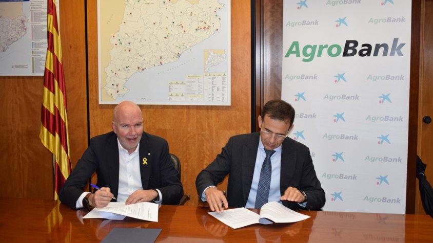 Conveni entre Agricultura i CaixaBank per potenciar el finançament de projectes de gestió forestal sostenible
