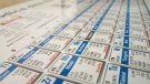 “Els elements  també poden  extingir-se”