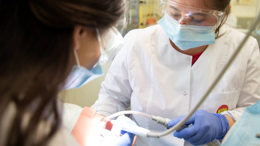 Més de 650 alumnes d'FP oferiran el seu suport com a professionals en els àmbits sanitari i social