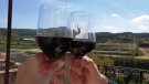 Sarral estrena un vermut col·lectiu als patis, terrasses i balcons