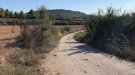 Arranjament del camí que uneix les pedanies de Lilla i Prenafeta
