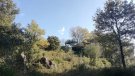 El Parlament de Catalunya ha aprovat la Proposició de llei de creació de l'Agència de la Natura