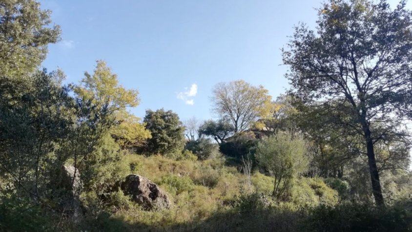 Divisió sobre la llei de creació de l’Agència de la Natura