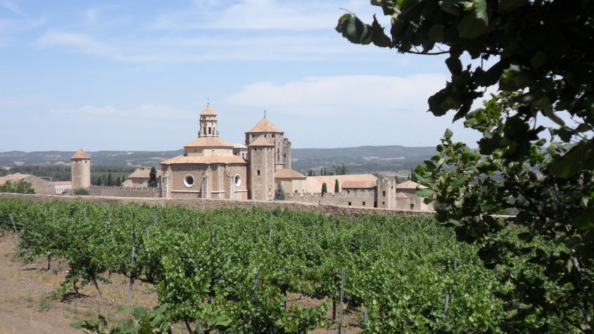 Els cellers de la DO Conca de Barberà decideixen regalar 1500 visites més davant l’èxit de la campanya “Escapa’t a la Conca”