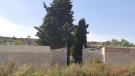 Sarral construirà una sala de vetlles al cementiri