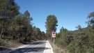 La Diputació realitza tasques de poda a 83 quilòmetres de la seva xarxa viària per prevenir incendis aquest estiu