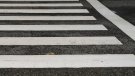 Campanya per a protegir el més fràgil