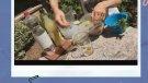El Chillout Saludable de l'Oficina Jove de la Conca es pot veure en petits clips de vídeo