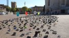 La plaça de Sant Francesc ha acollit l'original acte de l'ANC Conca de Barberà en motiu de l'11 de Setembre