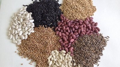 El Departament d'Agricultura alerta sobre enviaments de sobres amb llavors de països tercers no demanades