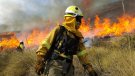 Es mantenen per avui les alertes per calor i per risc d'incendis