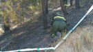 La campanya forestal finalitza amb 149 incendis i menys de 100 hectàrees cremades, la millor dada en l'última dècada