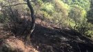 Incendi de vegetació forestal a Conesa