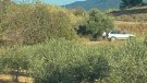 Roben set gossos en una masia de Vimbodí i Poblet