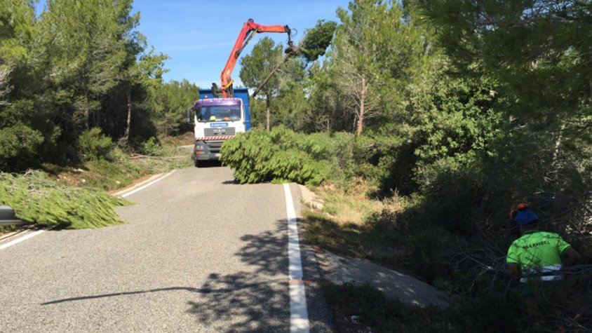 La Diputació de Tarragona realitza tasques de poda a la carretera de Rojals
