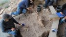 Noves troballes al jaciment paleolític del Molí del Salt de Vimbodí i Poblet