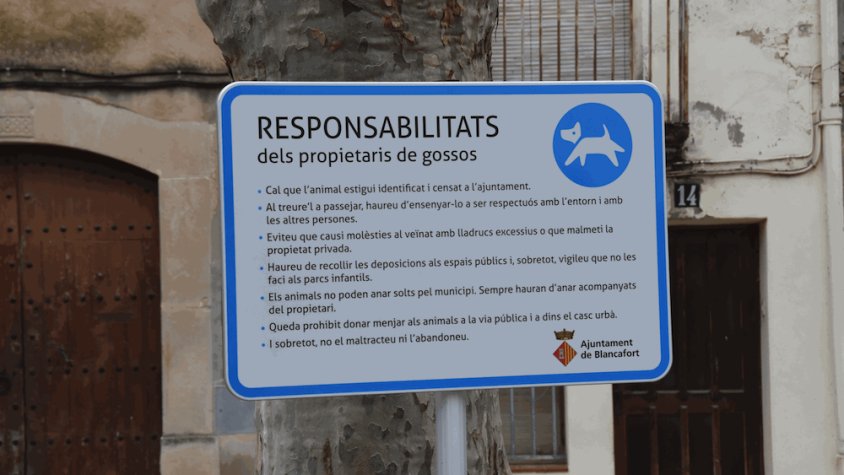 Campanya per a la sensibilització i recollida d'excrements d'animals de companyia i esterilització de gats sense propietari