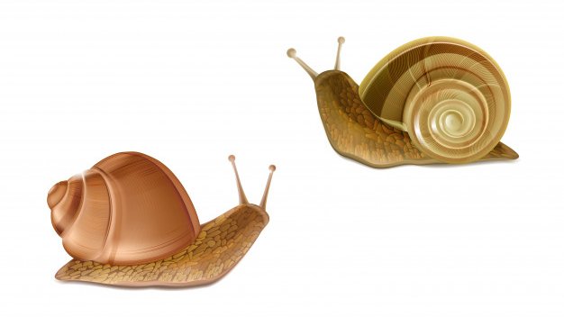 Campanades amb cargols