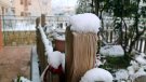 La Conca de Barberà pendent de les nevades