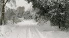 Interior dona per acabat l'episodi de neu però demana prudència: 