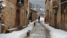 I després dels aiguats ha arribat la gran nevada