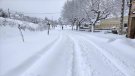 Les baixes temperatures congelen la neu i dificulten la mobilitat, especialment a les zones de muntanya