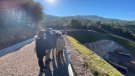 Una de les boques del túnel del Coll de Lilla ja s'hauria comunicat