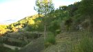 El Centre d’Història Natural de la Conca organitza una jornada de voluntariat ambiental a la Tossa