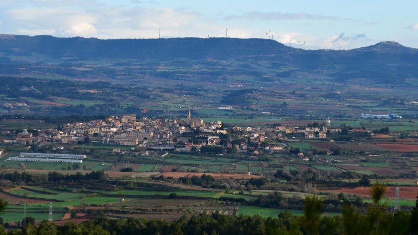 L'Ajuntament de Barberà sotmet a votació dels veïns el projecte d'hort solar