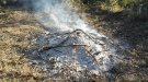 A partir d'avui comença la prohibició de fer foc al bosc