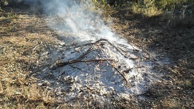 A partir d'avui comença la prohibició de fer foc al bosc