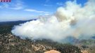 Els Bombers treballen per estabilitzar l'incendi forestal a la Conca de Barberà 