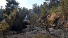 Una dotzena de dotacions de Bombers continuen vigilant l'incendi de la Conca de Barberà per evitar represes