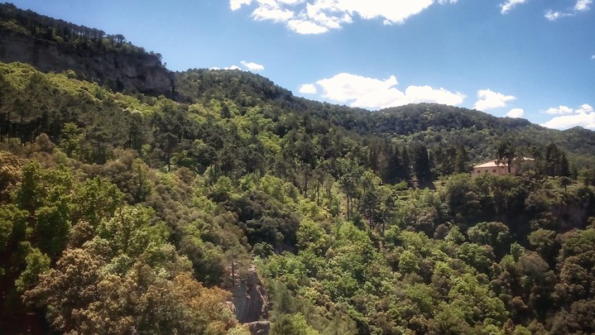 Aprovat oficialment el Projecte d'Ordenació de les forests de Poblet i Comellàs