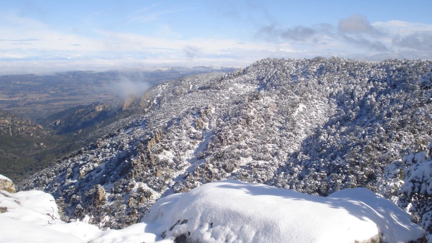 Neix la Sant Silvestre ViP de Muntanya, el 29 de desembre, amb sortida i arribada al Monestir de Poblet